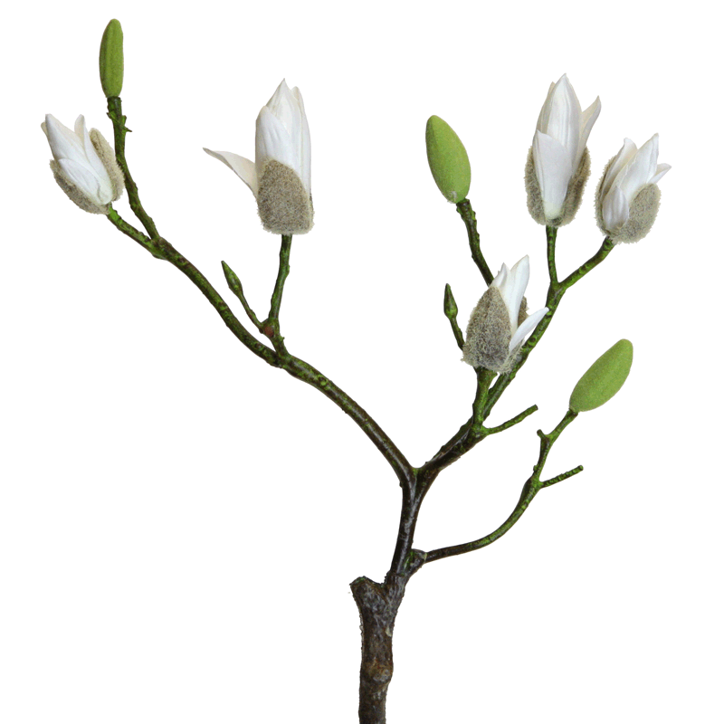 Magnolienknospen Zweig 73 cm weiss