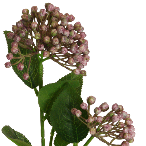 Viburnumbeere 55 cm lavendel