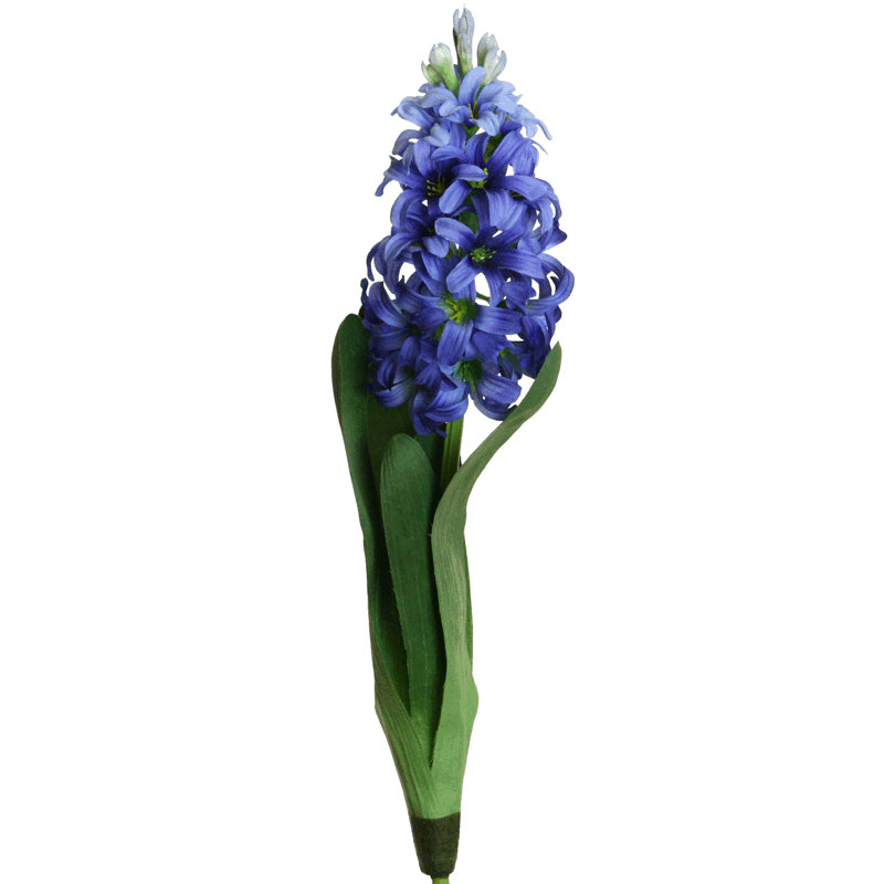 Hyazinthe 44 cm blau