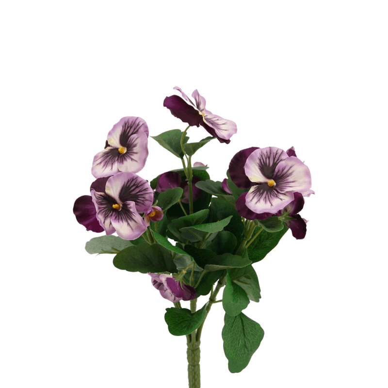 Stiefmütterchenbusch 30 cm purple